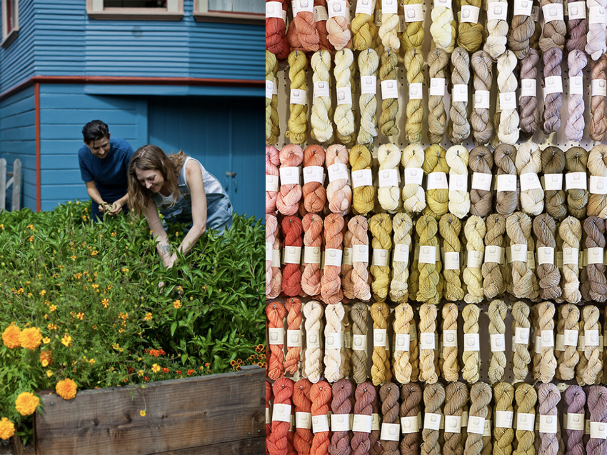Goldenrod Foraging and Natural Dyeing Workshop with Julia Rose Sutherland -  The Bentway
