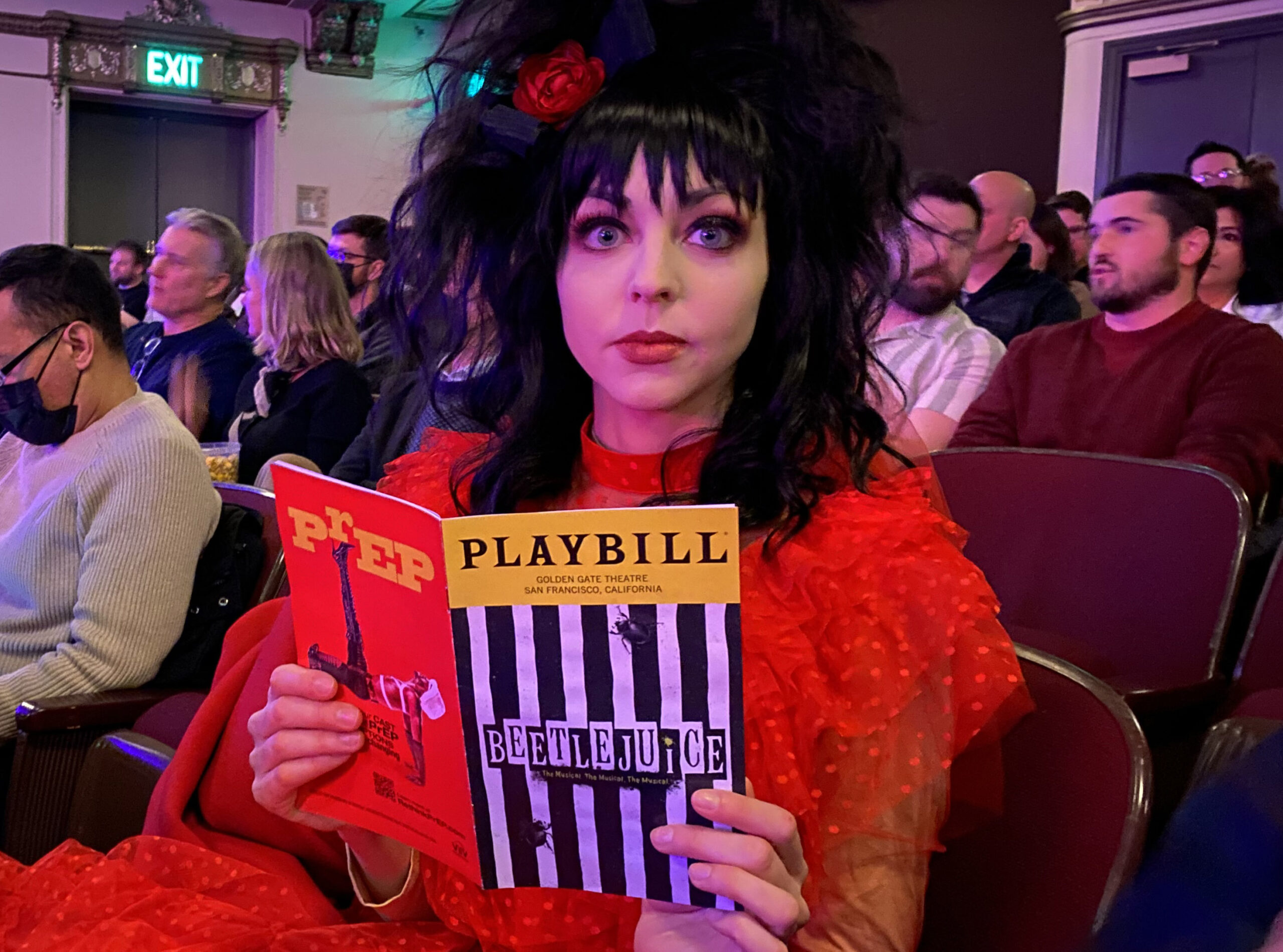 Beetlejuice The Musical, The Musical, The Musical is in San Francisco