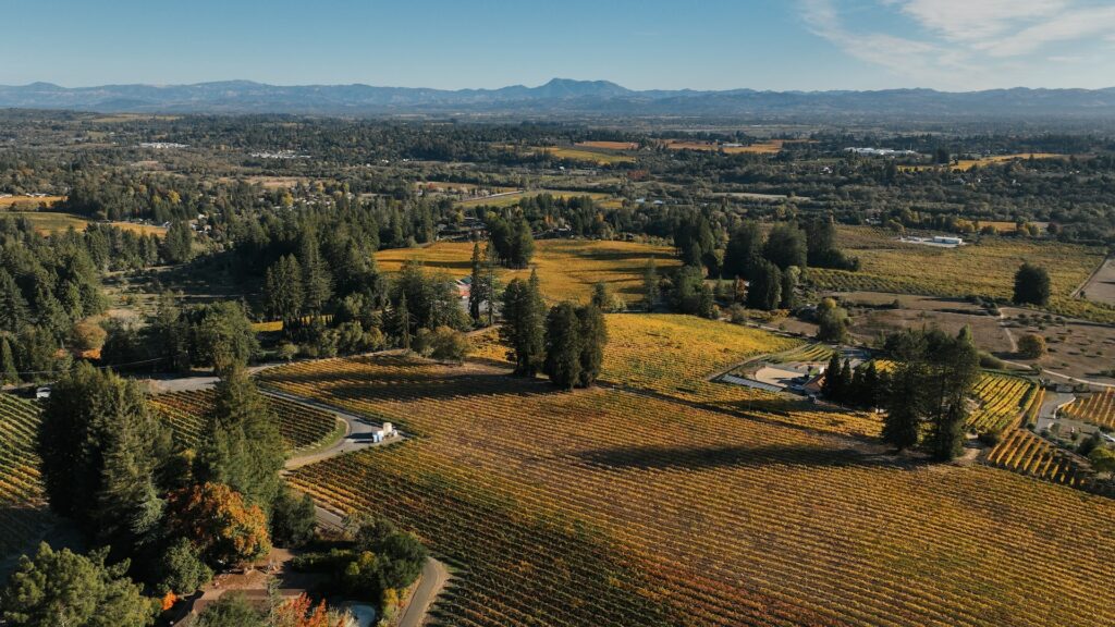 A beautiful view of Sonoma County